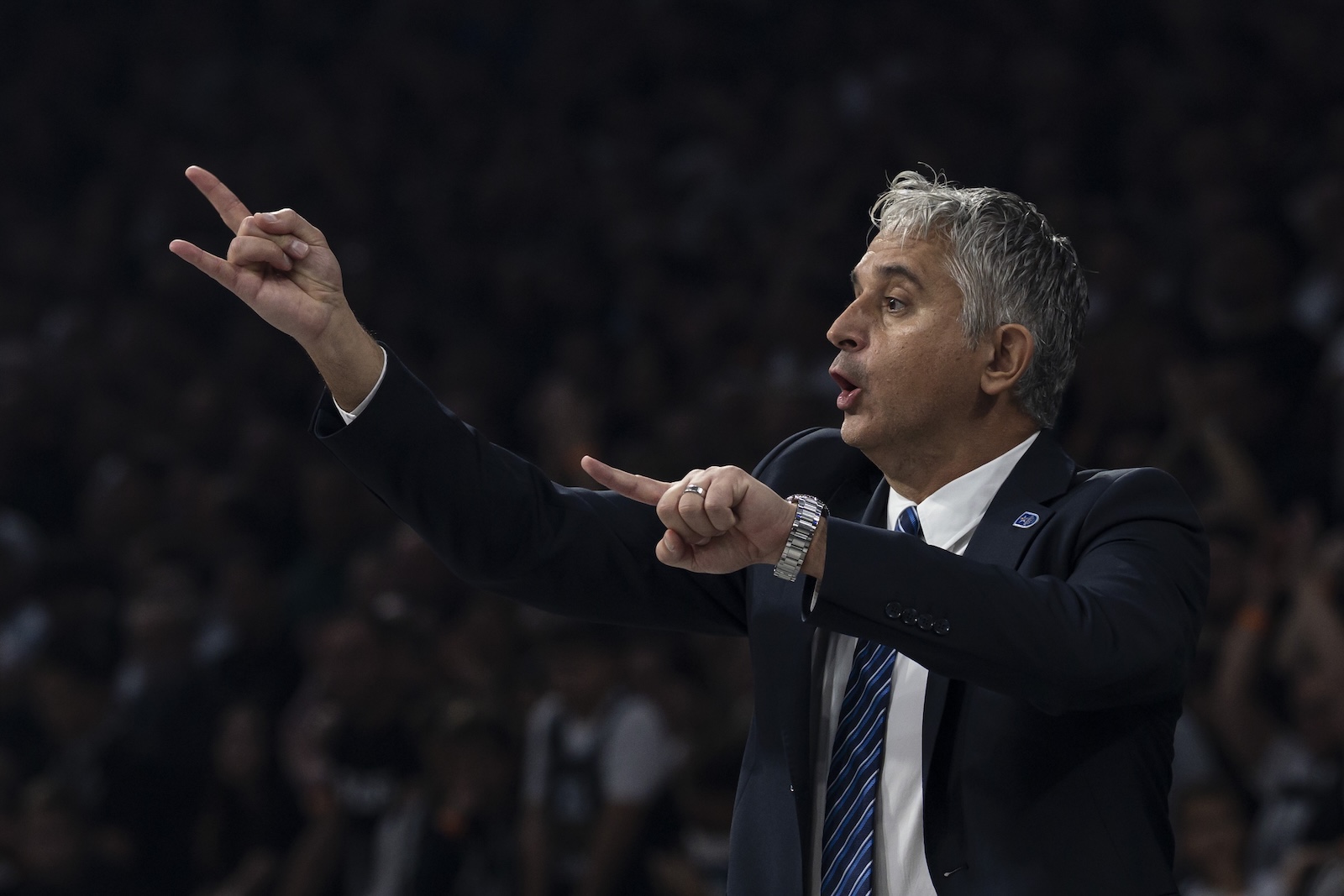 Partizan: 93 - Anadolu Efes: 87