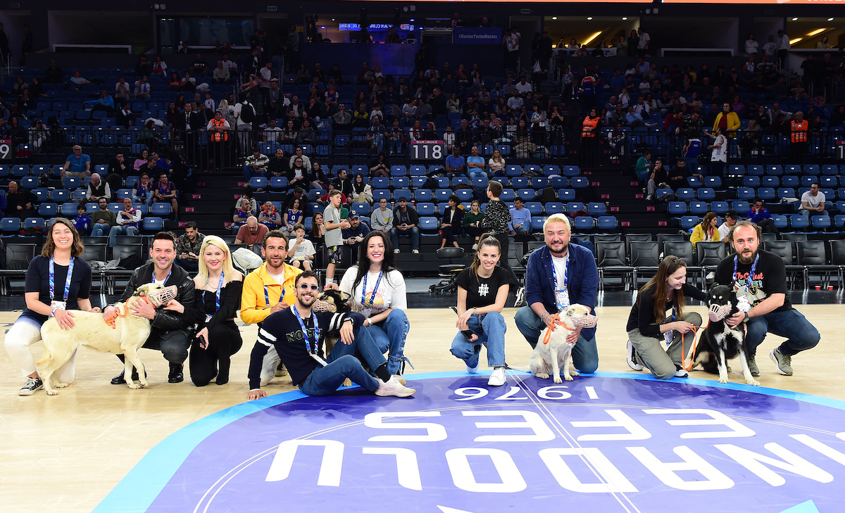 “#YuvaOl” - Depremzede Köpekler Sinan Erdem Spor Salonu’nda Ağırlandı