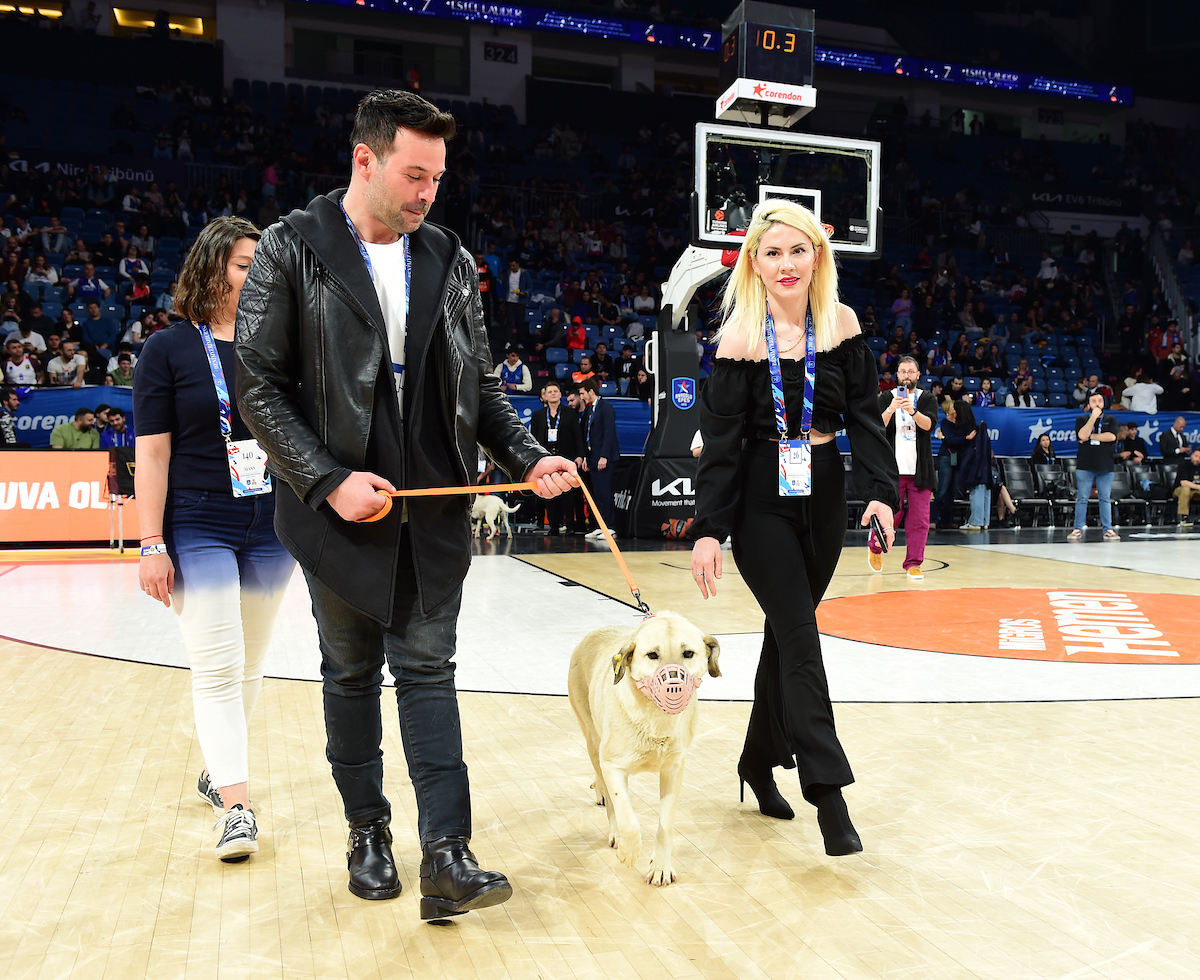 “#YuvaOl” - Depremzede Köpekler Sinan Erdem Spor Salonu’nda Ağırlandı