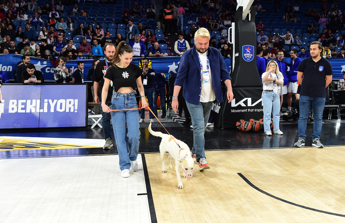 “#YuvaOl” - Depremzede Köpekler Sinan Erdem Spor Salonu’nda Ağırlandı