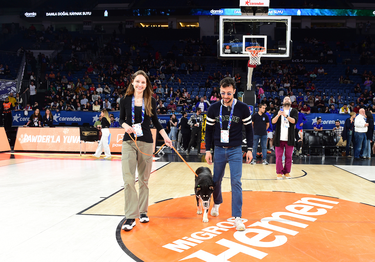 “#YuvaOl” - Depremzede Köpekler Sinan Erdem Spor Salonu’nda Ağırlandı